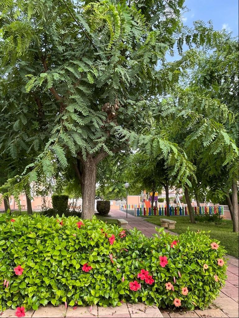 Gran Alicante Bungalow In Beach Resort Puerto Marino 외부 사진