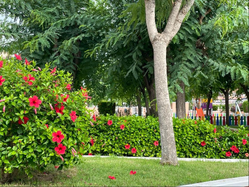 Gran Alicante Bungalow In Beach Resort Puerto Marino 외부 사진